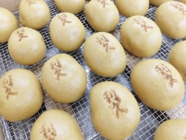 2019年1月 技術ｺｰｽｽｸｰﾘﾝｸﾞ