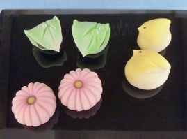 2019年度 体験入学②